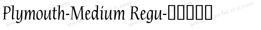 Plymouth-Medium Regu字体转换
